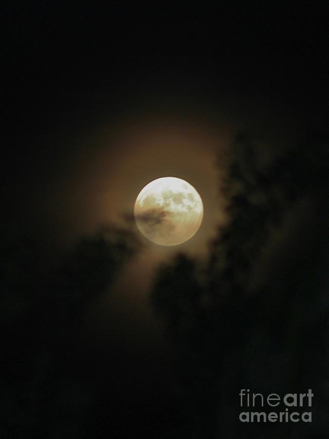 Full Moon Through the Shadows Photograph by Mesa Teresita