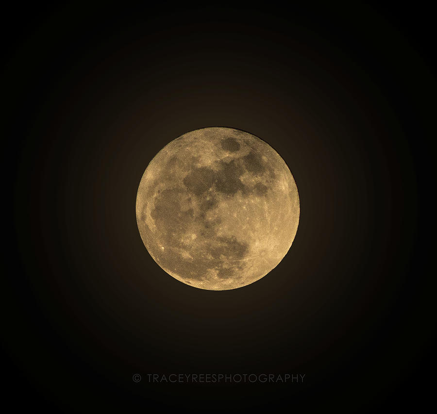 Moon Photograph - Full Moon by Tracey Rees