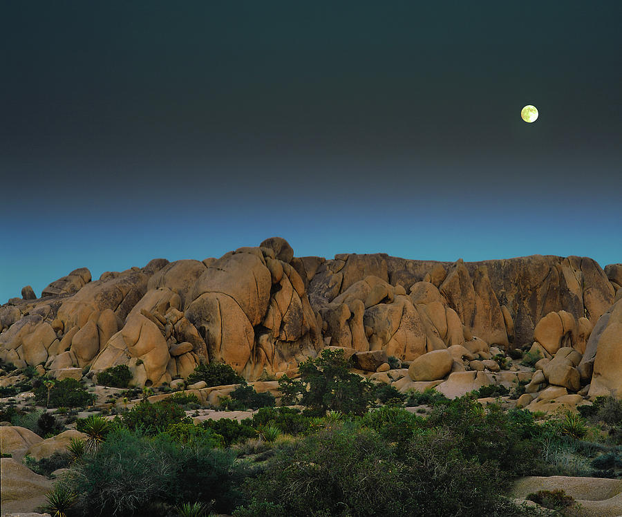 Full Moonrise Over Jumbo Rocks Photograph by Paul Breitkreuz