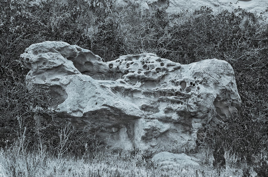 Colorado Springs Photograph - Full Of Lacunae  by Bijan Pirnia