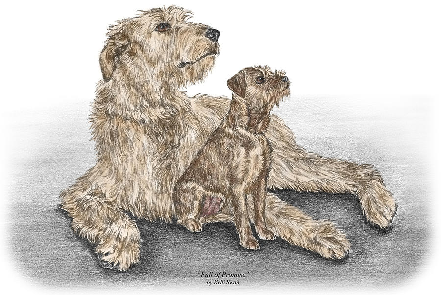 Full of Promise - Irish Wolfhound Dog Print color tinted Drawing by Kelli Swan