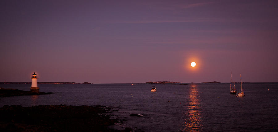 Full Pink moon scene Photograph by Lilia S