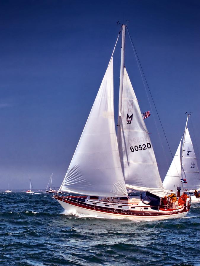Full Sail Ahead Photograph by Bruce Gannon