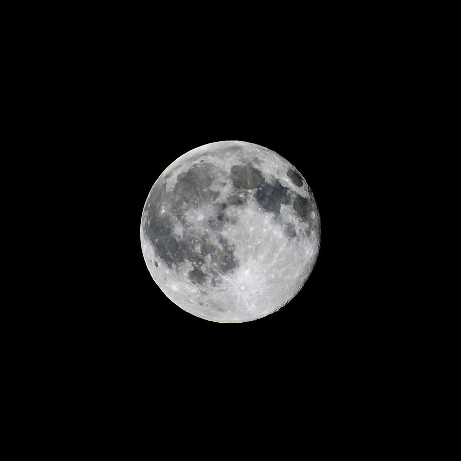 Full Strawberry Moon June 2016 Square Photograph by Terry DeLuco