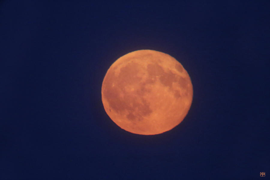 Full Sturgeon Moon Photograph by John Meader
