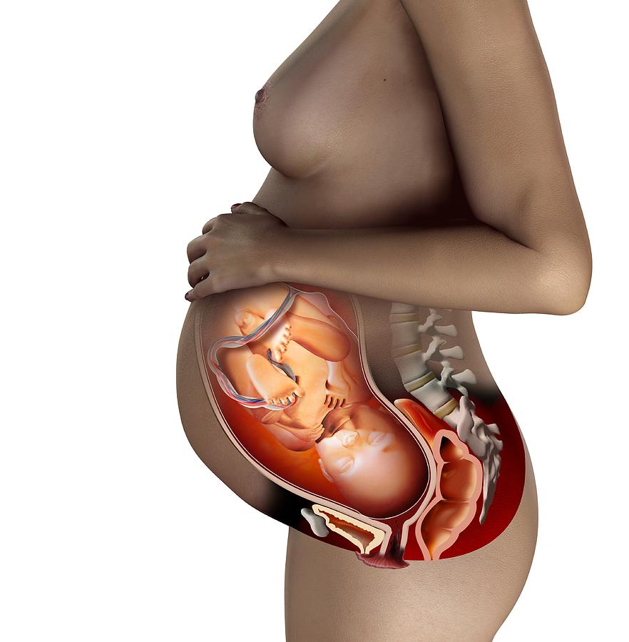 заражение сифилисом плода во время беременности