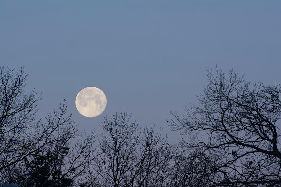 Full Winter Moon Photograph by Joan D Squared Photography