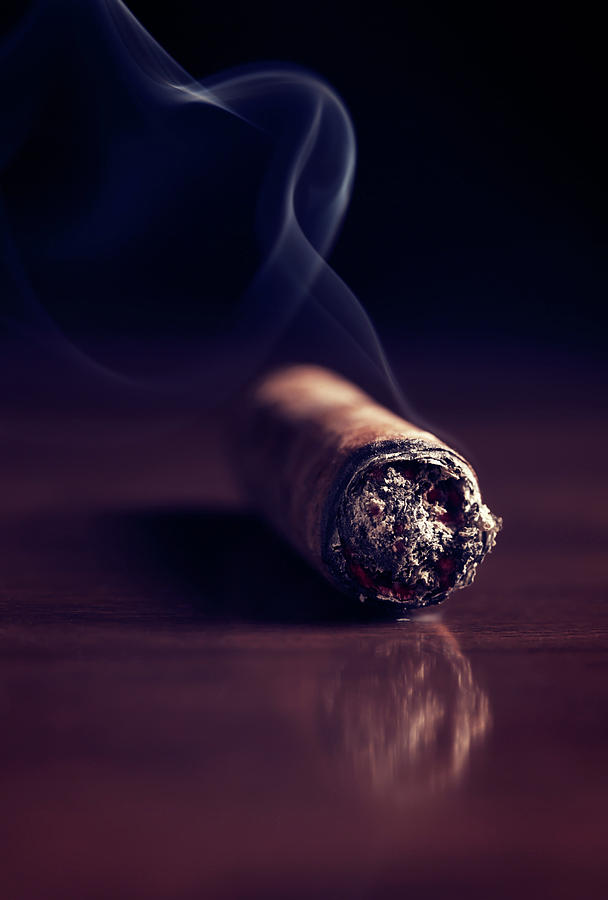 Cigar Photograph - Fuming Havana cigar 2 by Vadim Goodwill