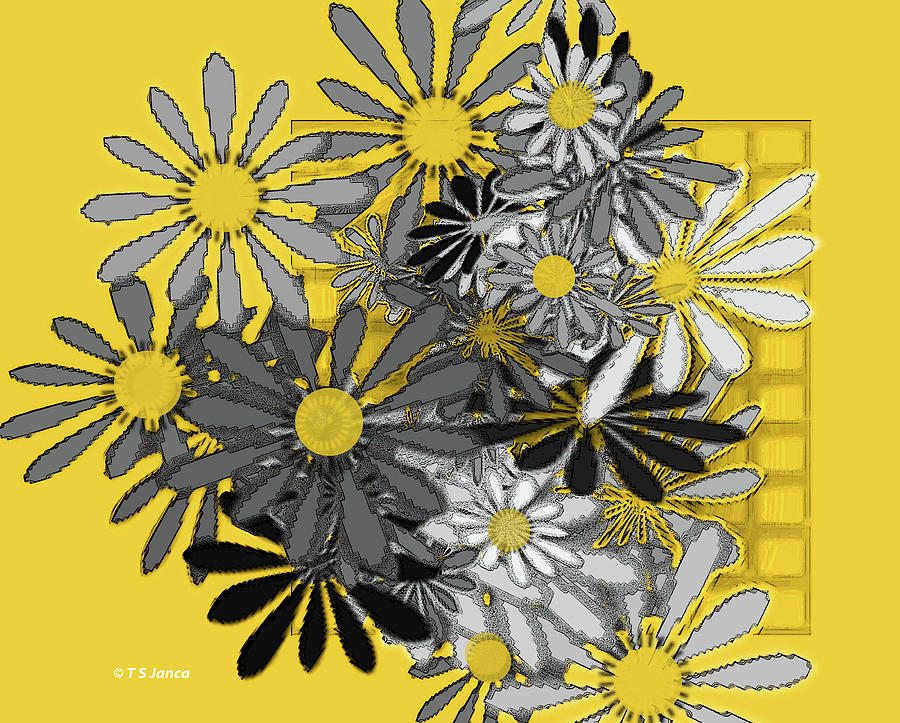 Fun Flowers Digital Art by Tom Janca