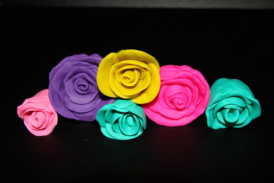 Rose Photograph - Fun With Clay by Lee Anderson