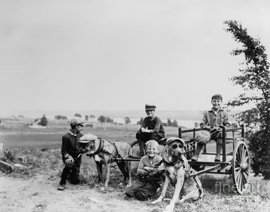 Fun with the Dogs 1905 Photograph by Jon Neidert