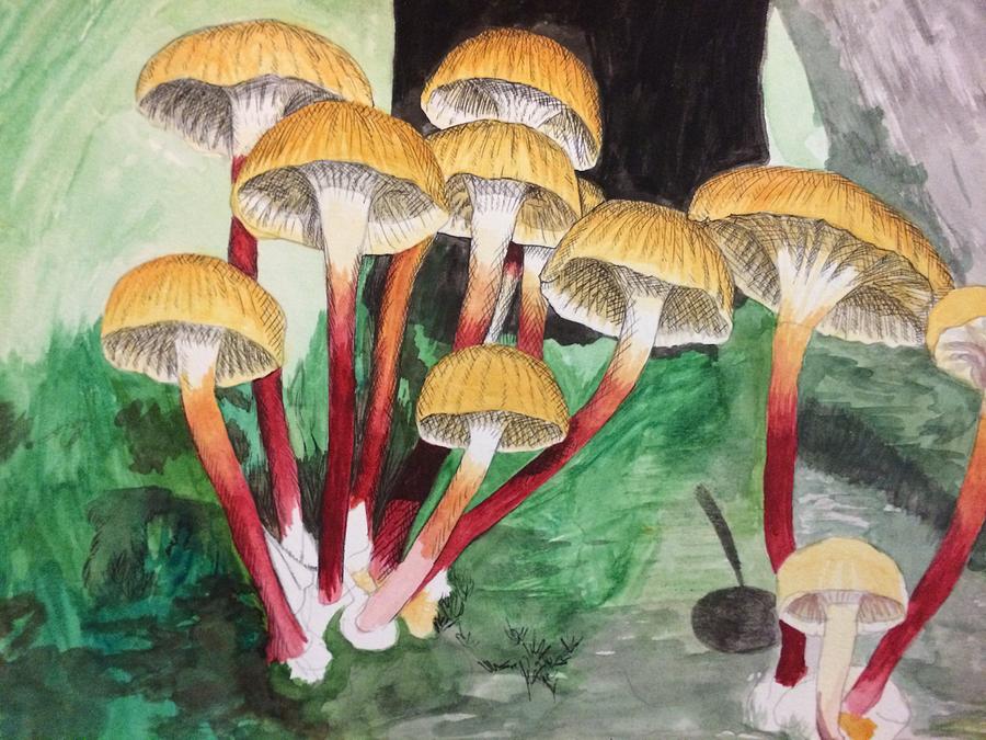 Mushroom Drawing - Fungi by Sarah Iwany