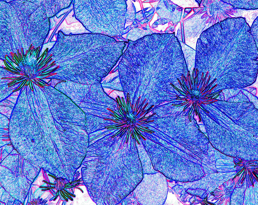 Funky Clematis in Blue Photograph by Carolyn Jacob