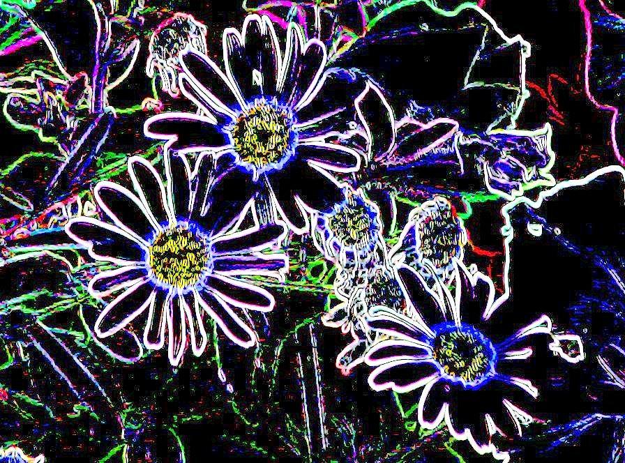 Funky Flowers Digital Art by Anita Burgermeister