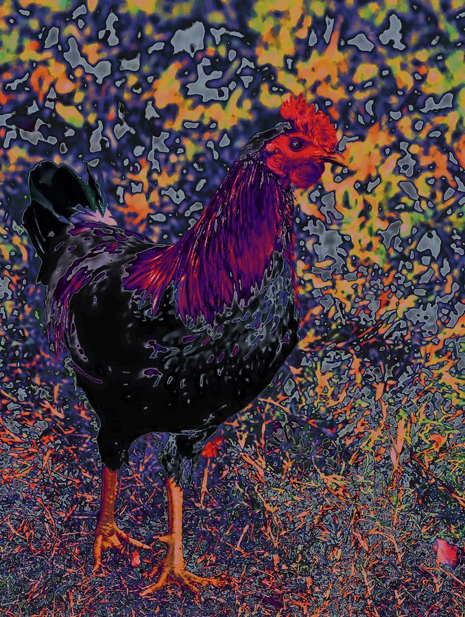 Funky Rooster No 5 Mixed Media by Lesa Fine