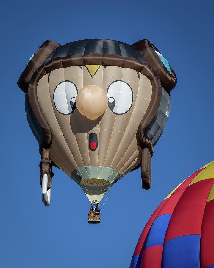 Funny Air Balloon Photograph by Joe Myeress