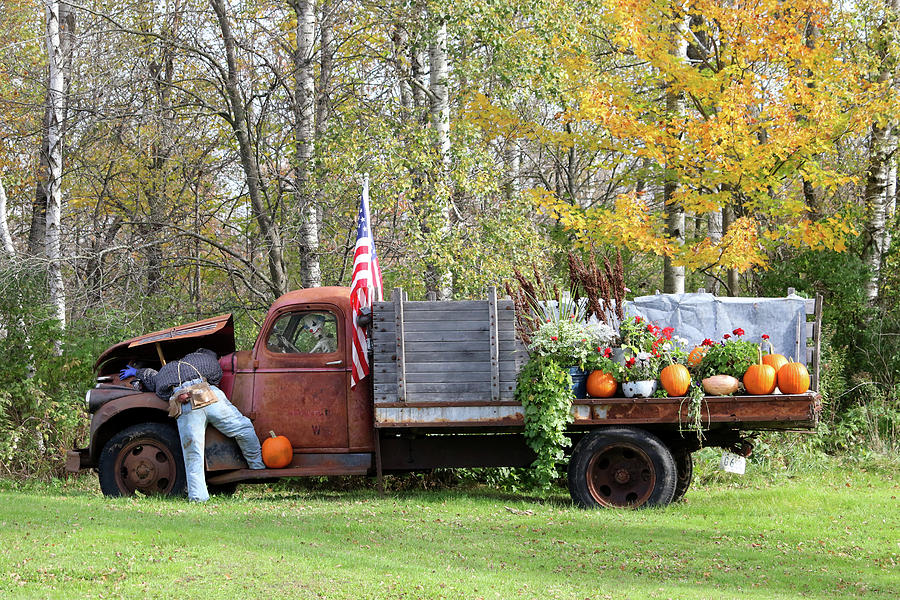 Funny Autumn Scene Photograph by Brook Burling