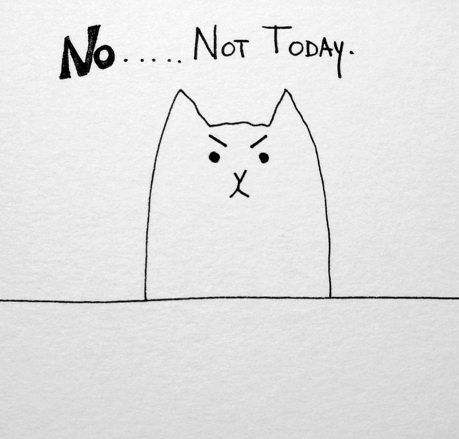 Funny cute slogan doodle cat  Drawing by Debbie Criswell
