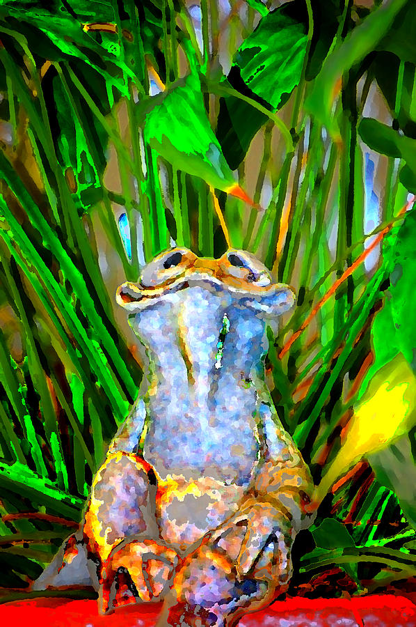 Funny Frog Digital Art by Danielle Stephenson | Fine Art America