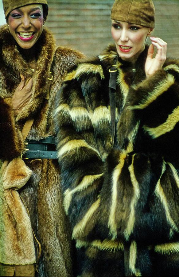 Fur Fit Miguel Cruz Photograph by Douglas Hopkins