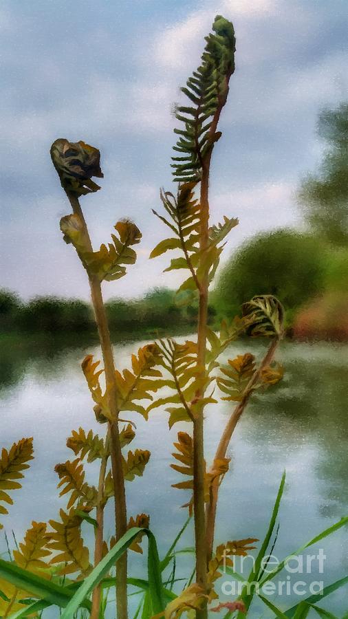 Furled by Abbie Shores Furled by Abbie Shores