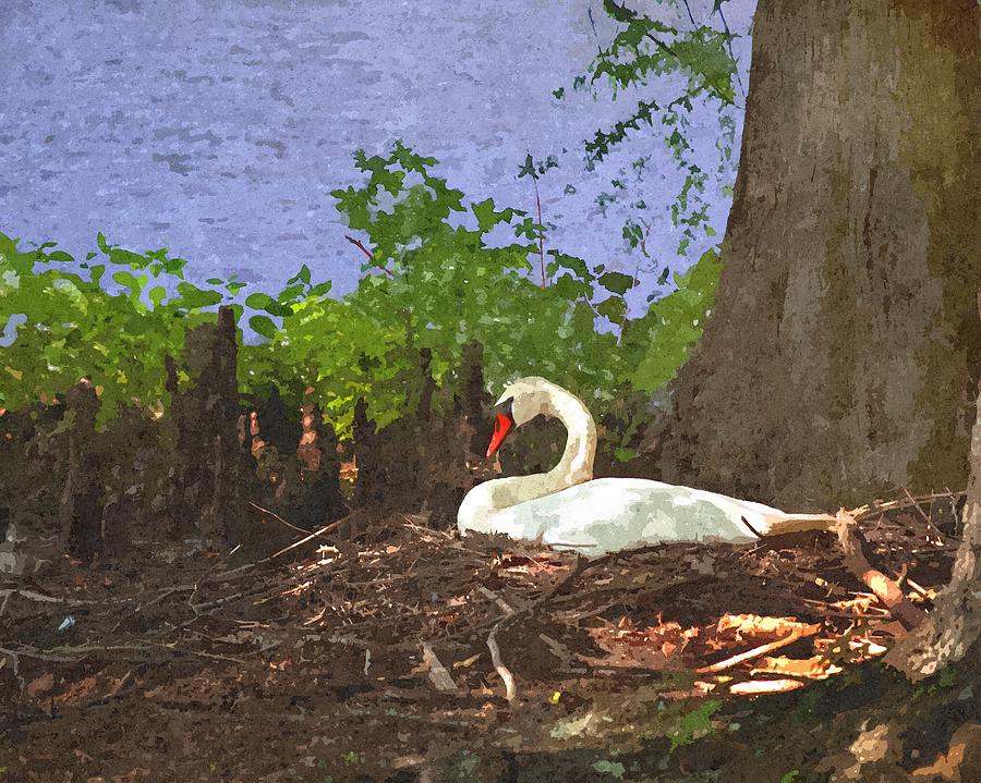 Swan Photograph - Furman University Swan by Gary Adkins