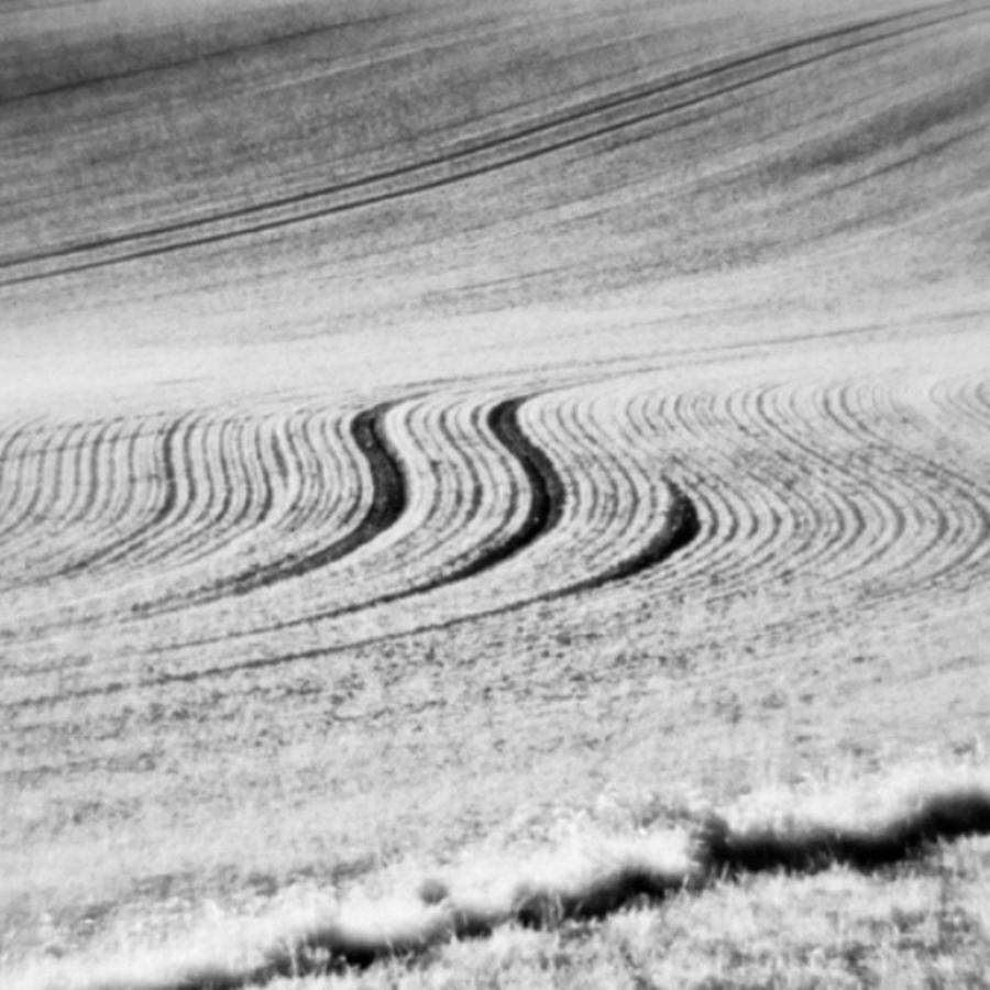 Field Photograph - Furrows

#monochrome by Mandy Tabatt