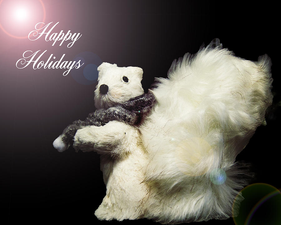 Furry Holiday Photograph by Leticia Latocki