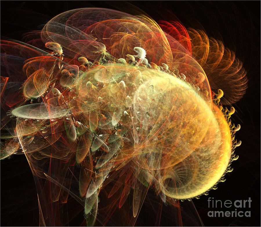 Furry Sea Shells Digital Art by Ronald Bissett