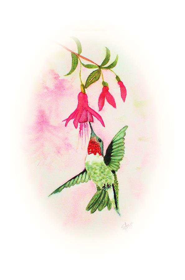 Fuschia Hummingbird Vignette Painting by Elise Boam