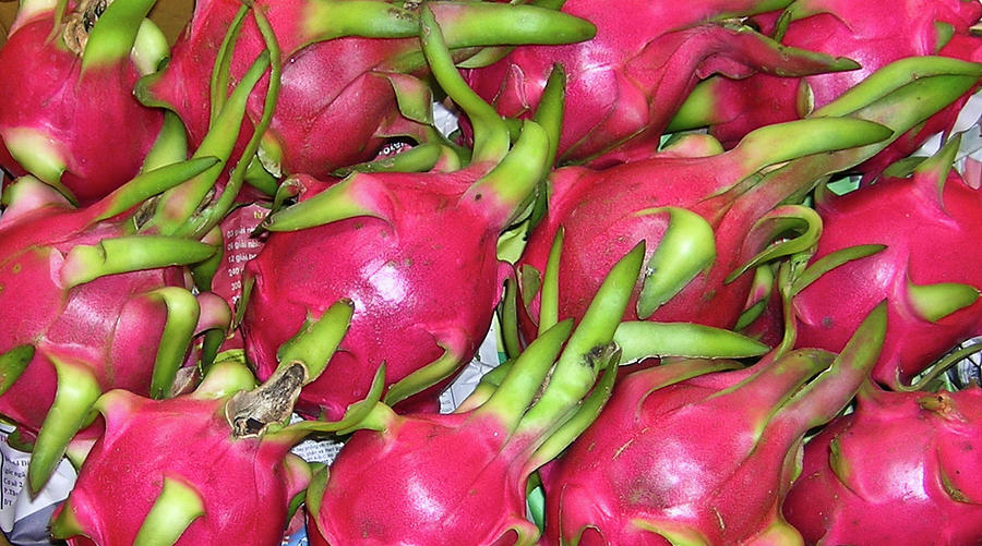 Fushia Fruit Photograph by Douglas Barnett | Fine Art America