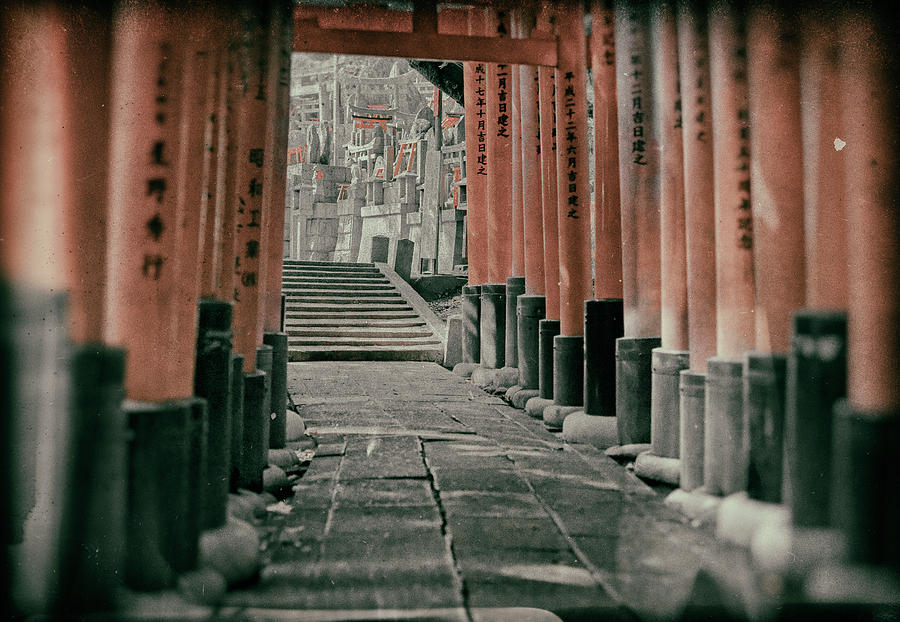 Fushima-Inari  Photograph by David Harding