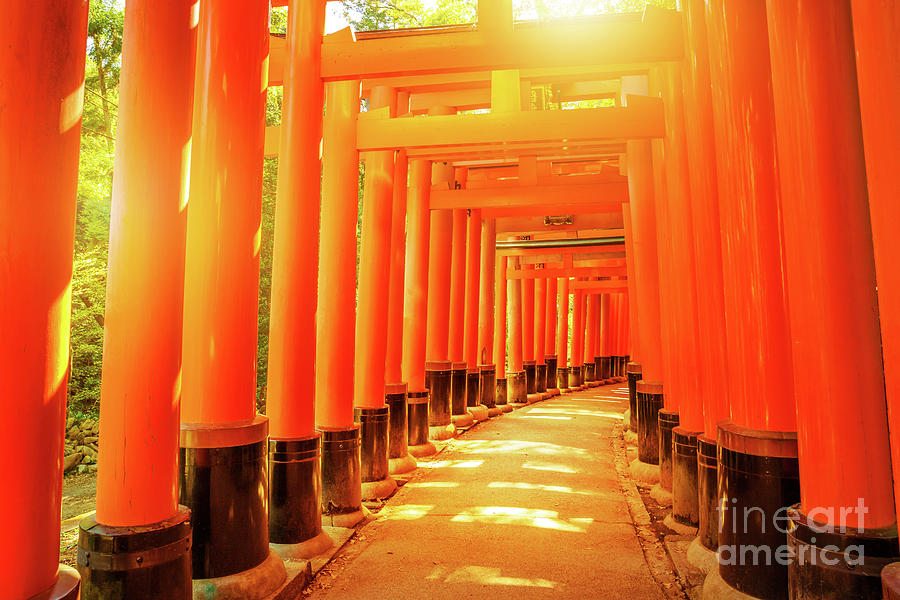 Fushimi Inari Kyoto Photograph by Benny Marty