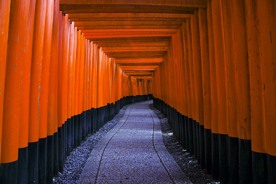 Fushimi Inari Taisha Photograph by Brian Kamprath