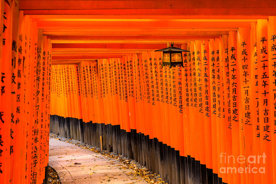 Fushimi Inari Taisha Photograph by Luciano Mortula