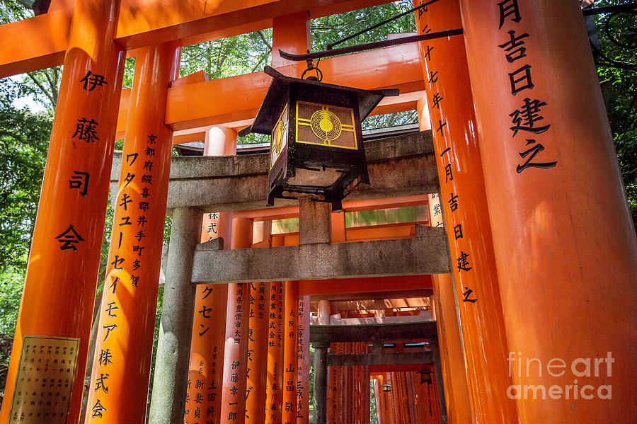 Fushimi Inari-Taisha Torii Path Photograph by Karen Jorstad