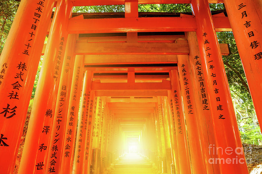 Fushimi Inari Torii gates Photograph by Benny Marty