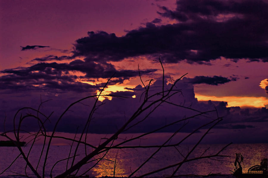Fushia Sunset Lake Okeechobee  Photograph by Ken Figurski