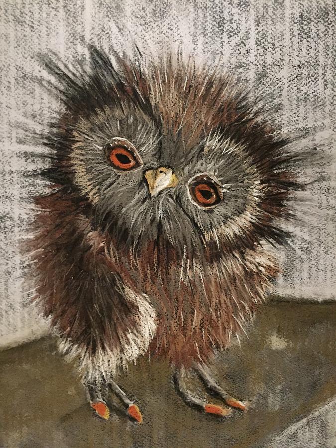 Owl Drawing - Fuzzy Owl by Cristel Mol-Dellepoort
