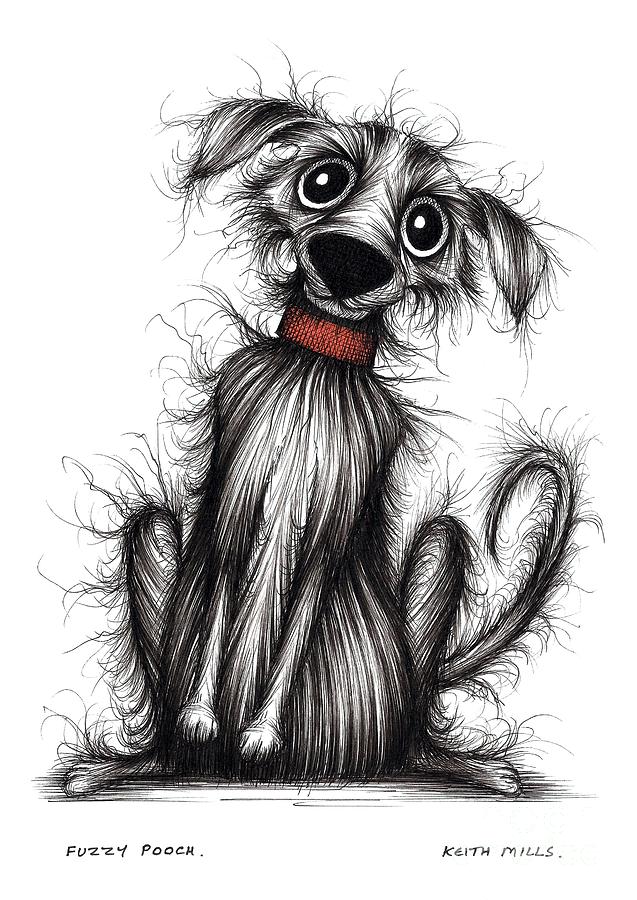 Fuzzy pooch Drawing by Keith Mills