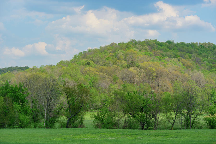 FX94A-6 Vinton County Spring by Ohio Stock Photography FX94A-6 Vinton County Spring by Ohio Stock Photography