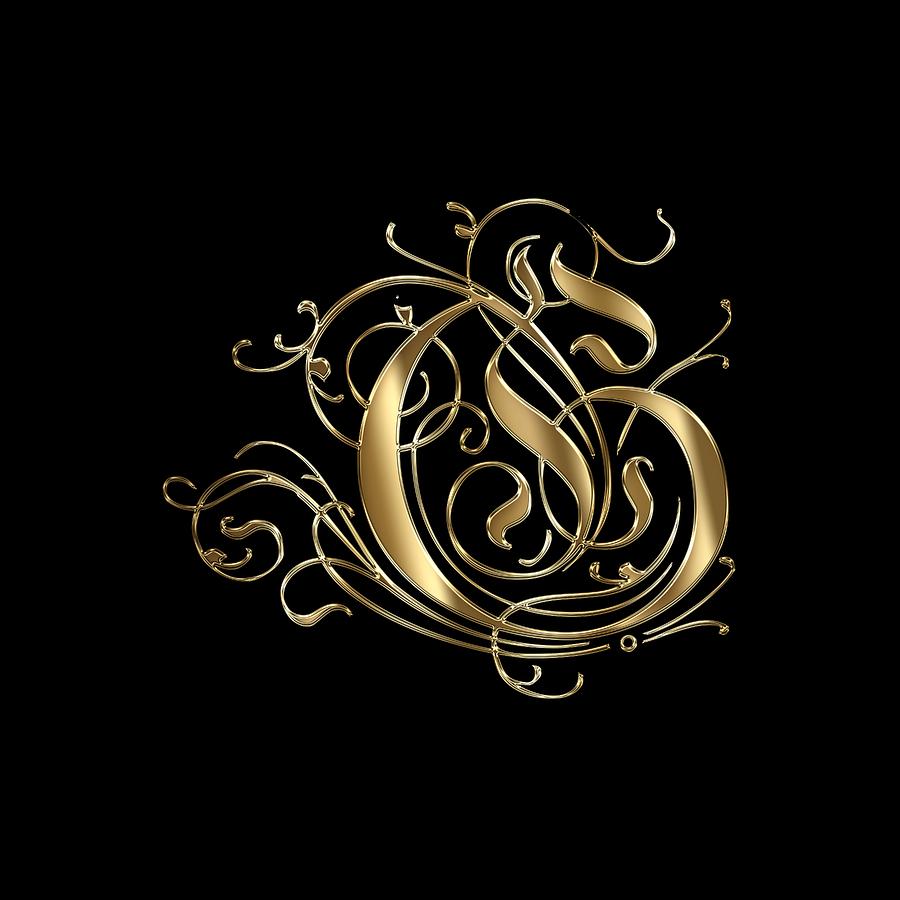 Letter Typography Painting - G Ornamental Letter Gold Typography by Georgeta Blanaru