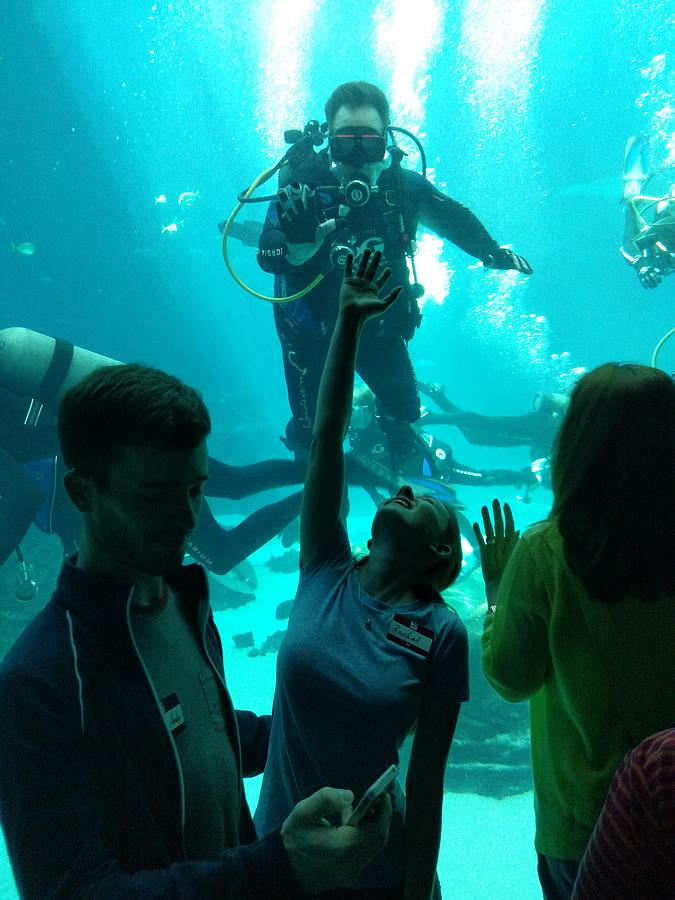 GA Aquarium Scuba Photograph by Rick Lecture Fine Art America