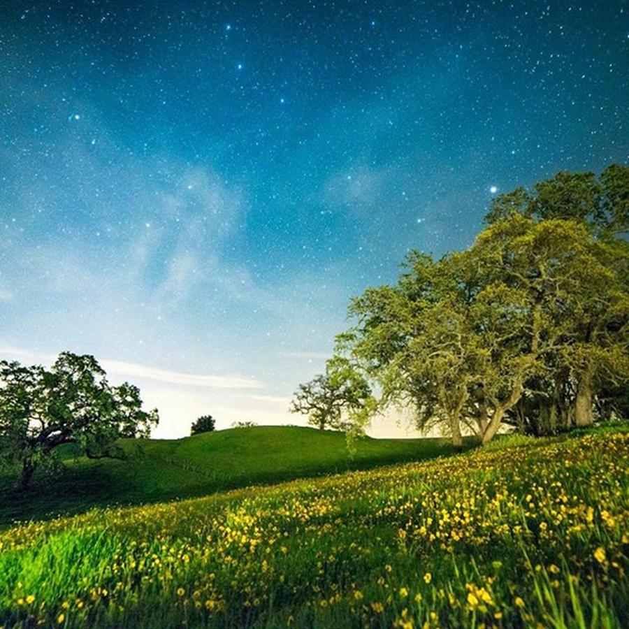 Gabilan Ranch Is A Magical Place 🌌 Photograph by ROB King