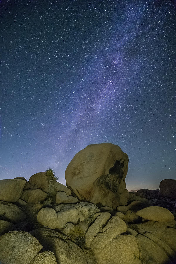 Joshua Tree National Park Photograph - Galactic Desert by ChrisAntoniniPhotography