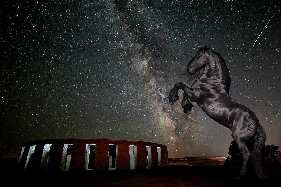 Galactic Friesian Fantasy Photograph by Wes and Dotty Weber