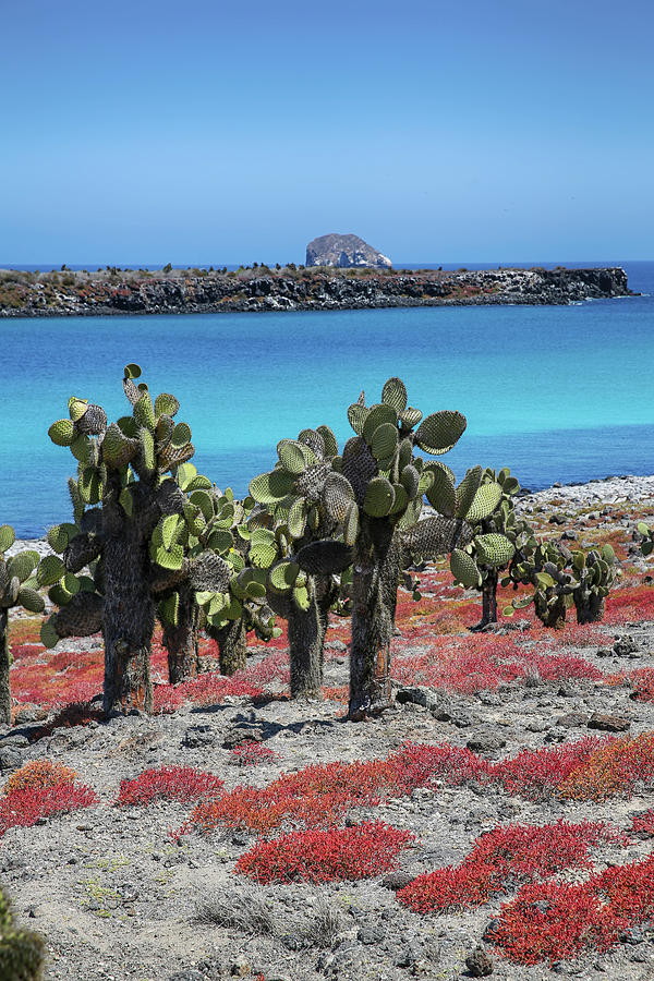 Galapagos Archipelago Photograph by John Haldane