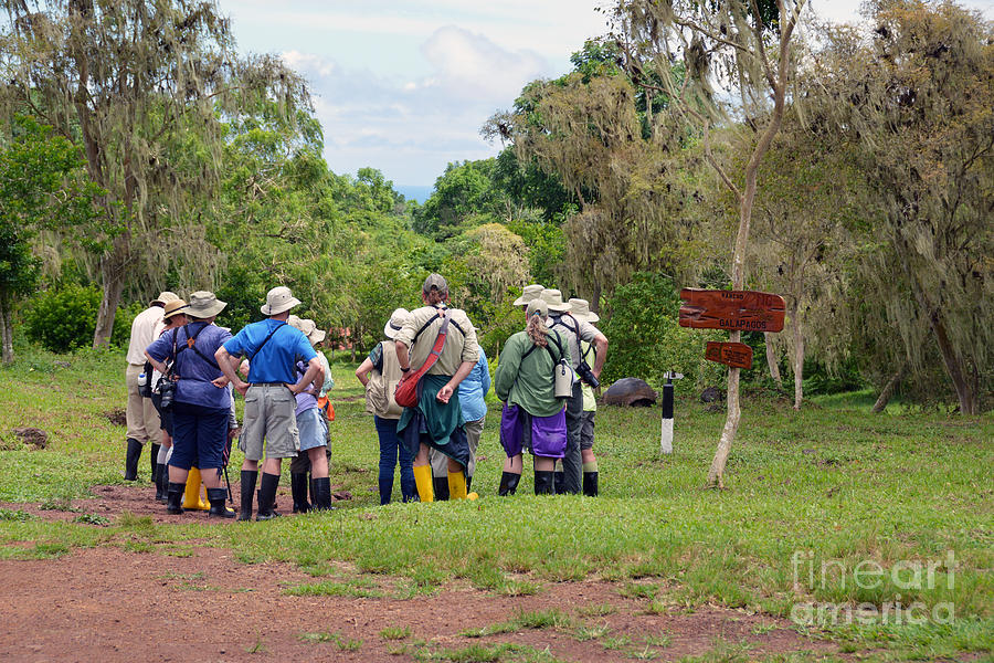 Reptile Photograph - Galapagos Islands Tourists at Tortoise Sanctuary by Catherine Sherman