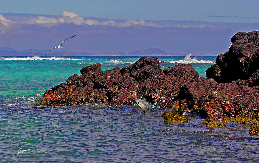 Galapagos Shores Photograph by Phil Jensen