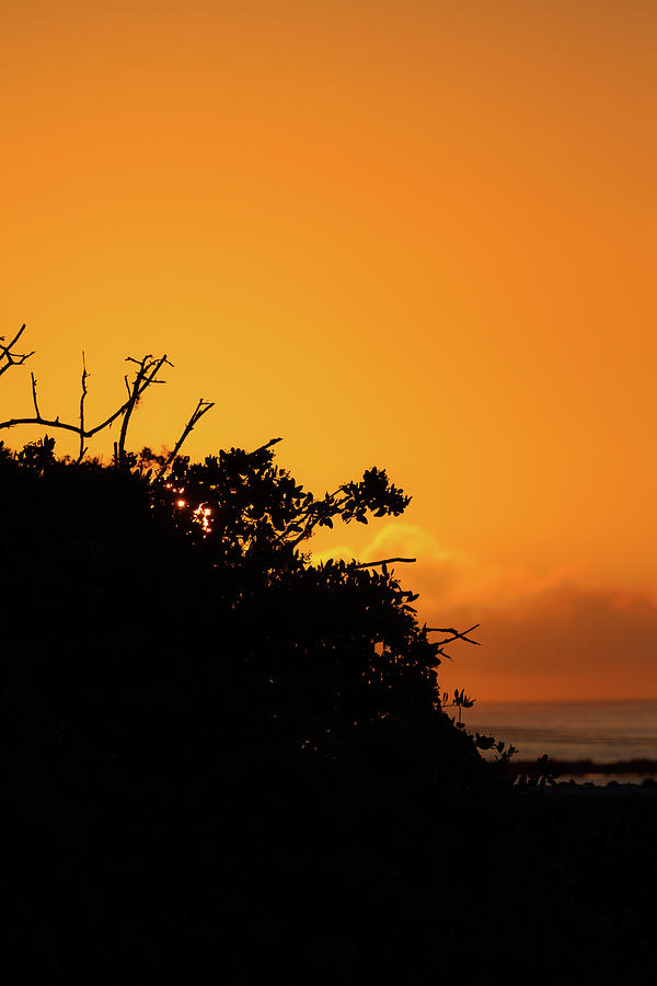 Galapagos Sunset Silhouette Photograph by John Haldane